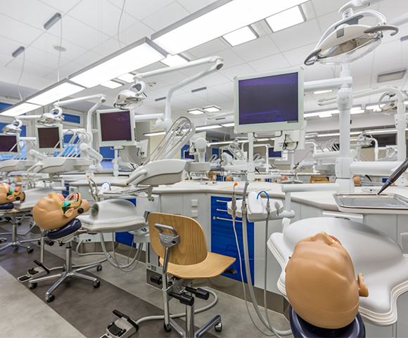 Hands on learning for dental students