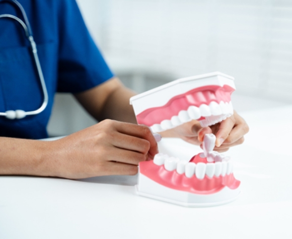 Dental assistant showing tooth extraction on model of mouth